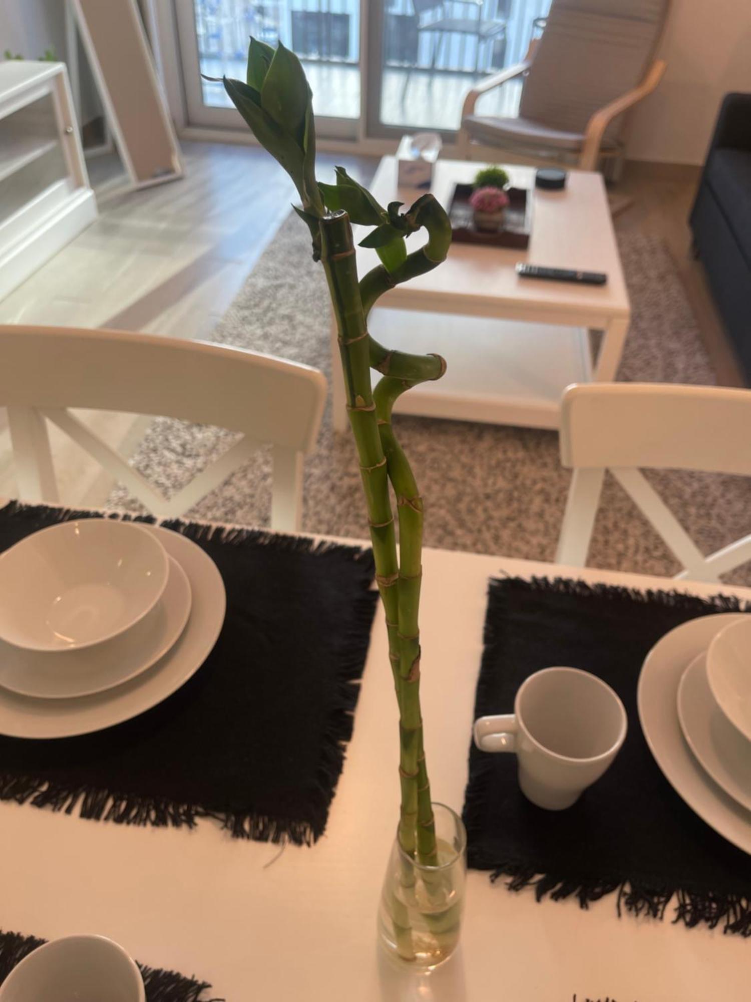 Apartment Daisy Hill 1br Waters Edge Canal View Theme Parks Yas Island Abu Dhabi